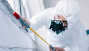 Pest Control for Hotels in Preston Heights, IL